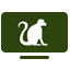 Logo JDC